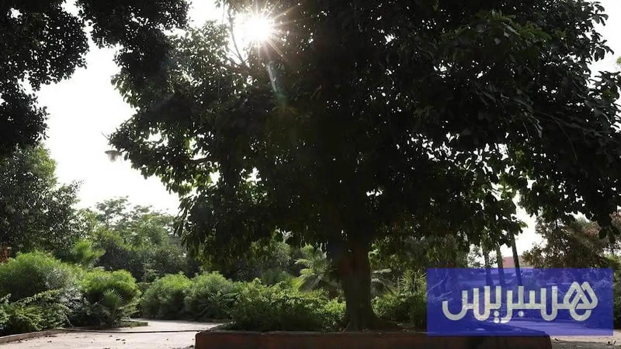 طقس المغرب.. تراجع ملموس في درجات الحرارة مع استقرار جوي مطلع الأسبوع المقبل